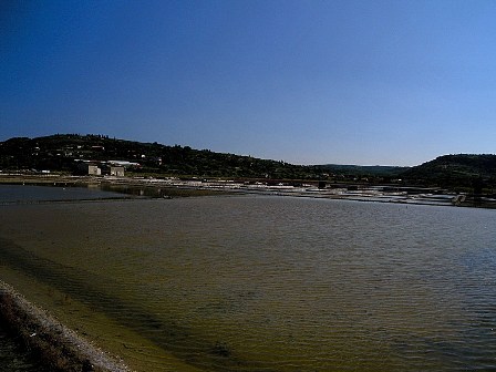 Strunjan saltpans Slovenia