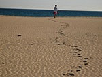 Walking on the beaches of Tarifa