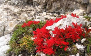 Autumn in the mountain - Seven Lakes in Triglav national park