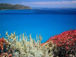 capo carbonara marine protected area - Sardinia