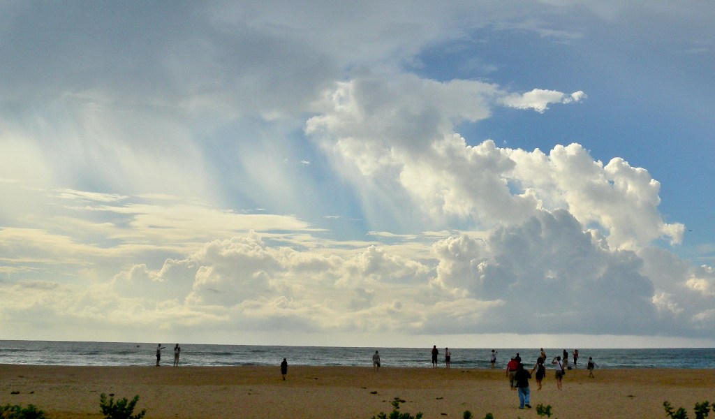 Yala park bordered to the Indian sea - Sri Lanka 