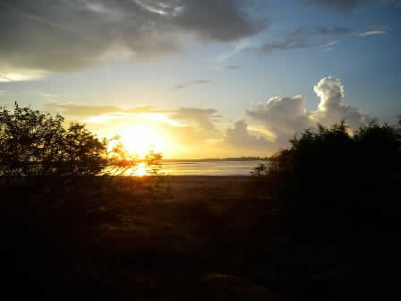 Mornig on safari in Yala national Park