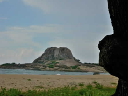 Landscape of Yala national Park