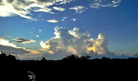 Morning in Yala national Park