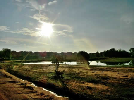 Wettland of Yala national Park