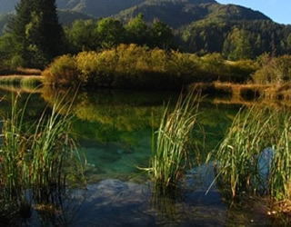 Zelenci - source of river Sava - Kranjska Gora