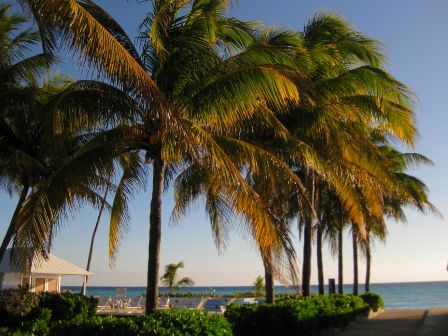 bahamas accommodation on the beach