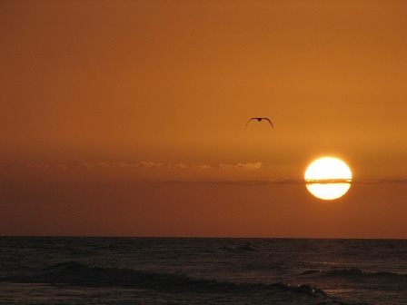 Sunset in Bahamas at the end of serene day