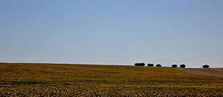 Holidays in Alentejo to visit The town of Beja - Portugal