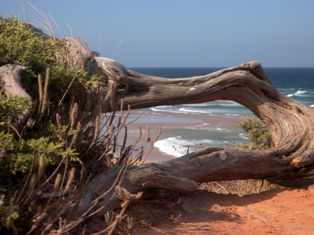 From Sagres to Odemira: the Southwestern tip of Carrapateira in Algarve is a surfing - Portugal