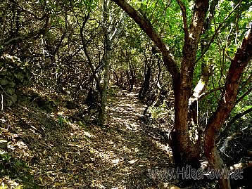 Hiking in Scandola - Corsica