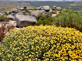 Serra da Estrela national park Portugal