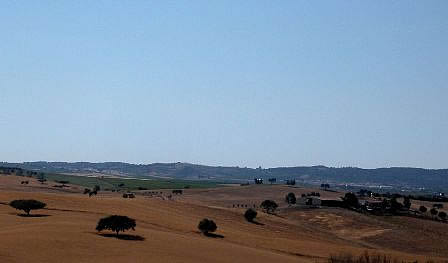 Beja fields - Portugal