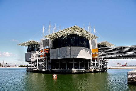 Ocenario aquarium Lisbon - Portugal