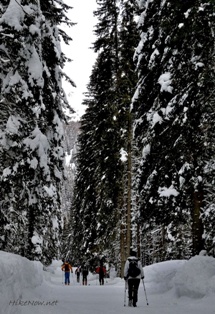 Winter time on Pokljuka, Slovenia